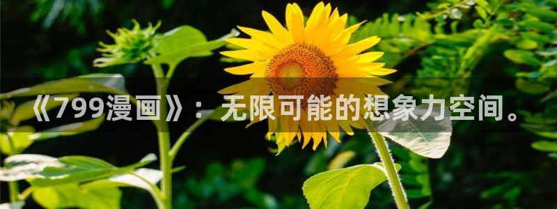香蕉漫画无遮挡：《799漫画》：无限可能的想象力空间。