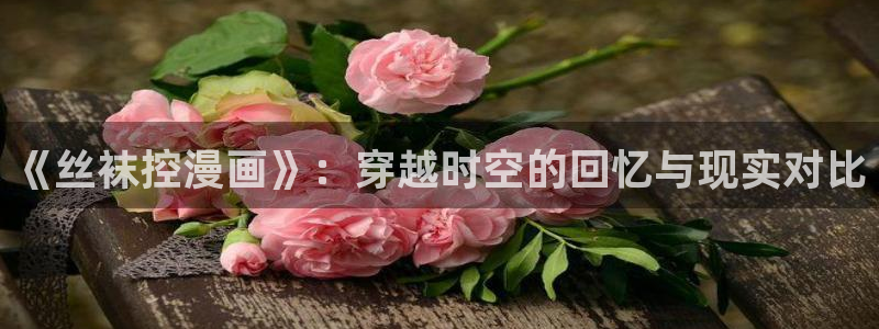 香蕉免费漫画：《丝袜控漫画》：穿越时空的回忆与现实对比