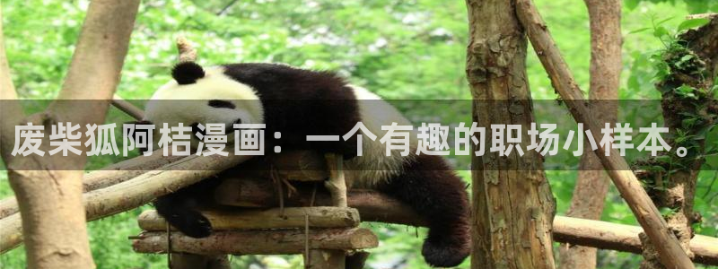 香蕉漫画韩：废柴狐阿桔漫画：一个有趣的职场小样本。