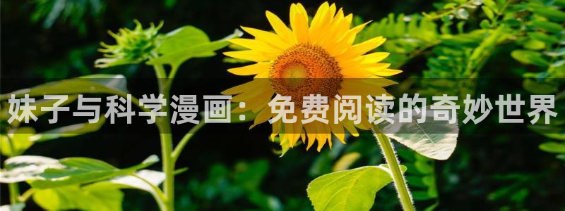 香蕉漫画官：妹子与科学漫画：免费阅读的奇妙世界