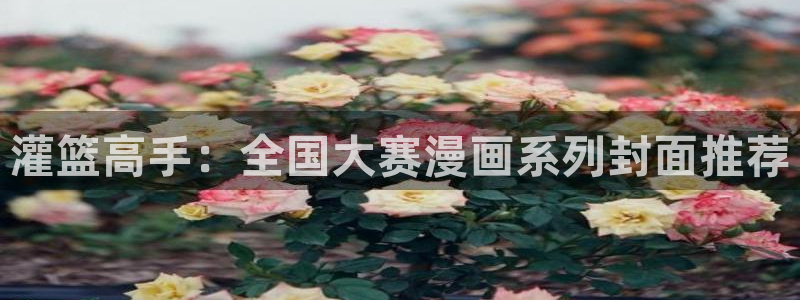 香蕉文化漫画书下拉式最新版本：灌篮高手：全国大赛漫画系列封面推荐