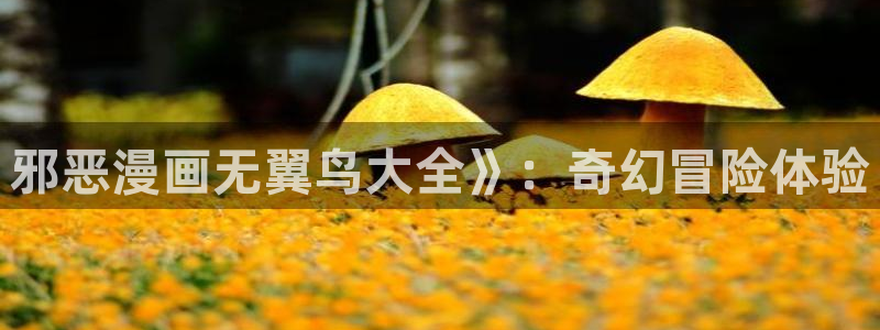香蕉文化漫画在哪看：邪恶漫画无翼鸟大全》：奇幻冒险体验