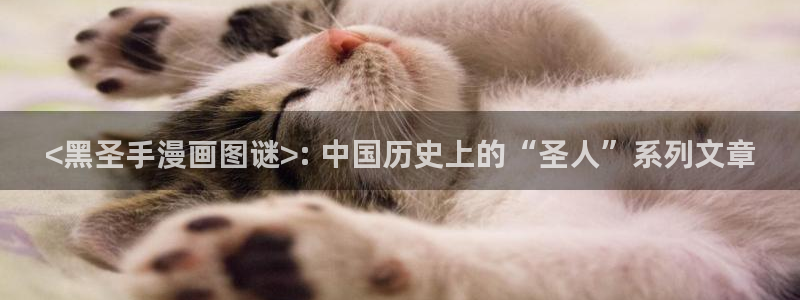 香蕉文化漫画网址：<黑圣手漫画图谜>: 中国历史上的“圣人”系列文章