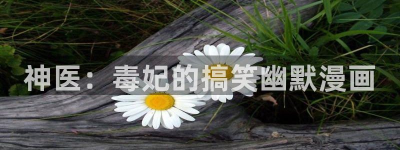 香蕉漫画网络：神医：毒妃的搞笑幽默漫画
