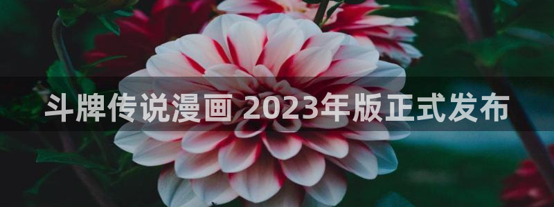 香蕉漫画免费读漫画网：斗牌传说漫画 2023年版正式发布