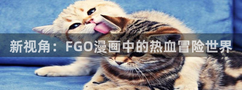 香蕉文化漫画小说下拉：新视角：FGO漫画中的热血冒险世界